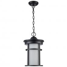 Trans Globe 40385 BK-FR - 1LT HANGING LANTERN-MD-CRACKLE